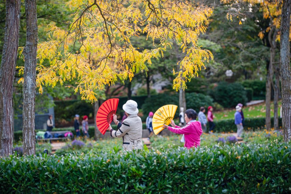 Chinese fan dancers in the Civic Square, next to the Bob Prittie Metrotown Branch. Chinese fan dancers in the Civic Square, next to the Bob Prittie Metrotown Branch.